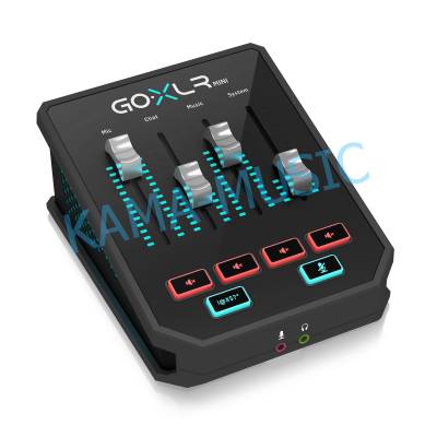 TC HELICON GO XLR MINI
