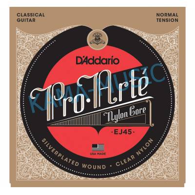 D'ADDARIO EJ45