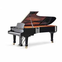 SCHULZE Pollmann A281