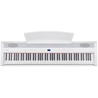 BECKER BSP-102W