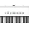 ROLAND FP-30X