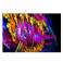 ANTARI DarkFX Spot 510IP