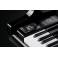 KAWAI NV10S